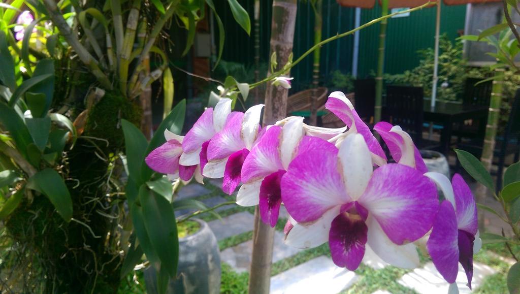 Siem Reap Green Home Guesthouse Eksteriør bilde